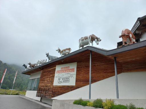 Ferienwohnung Lara Scheffau am Wilden Kaiser Exterior photo